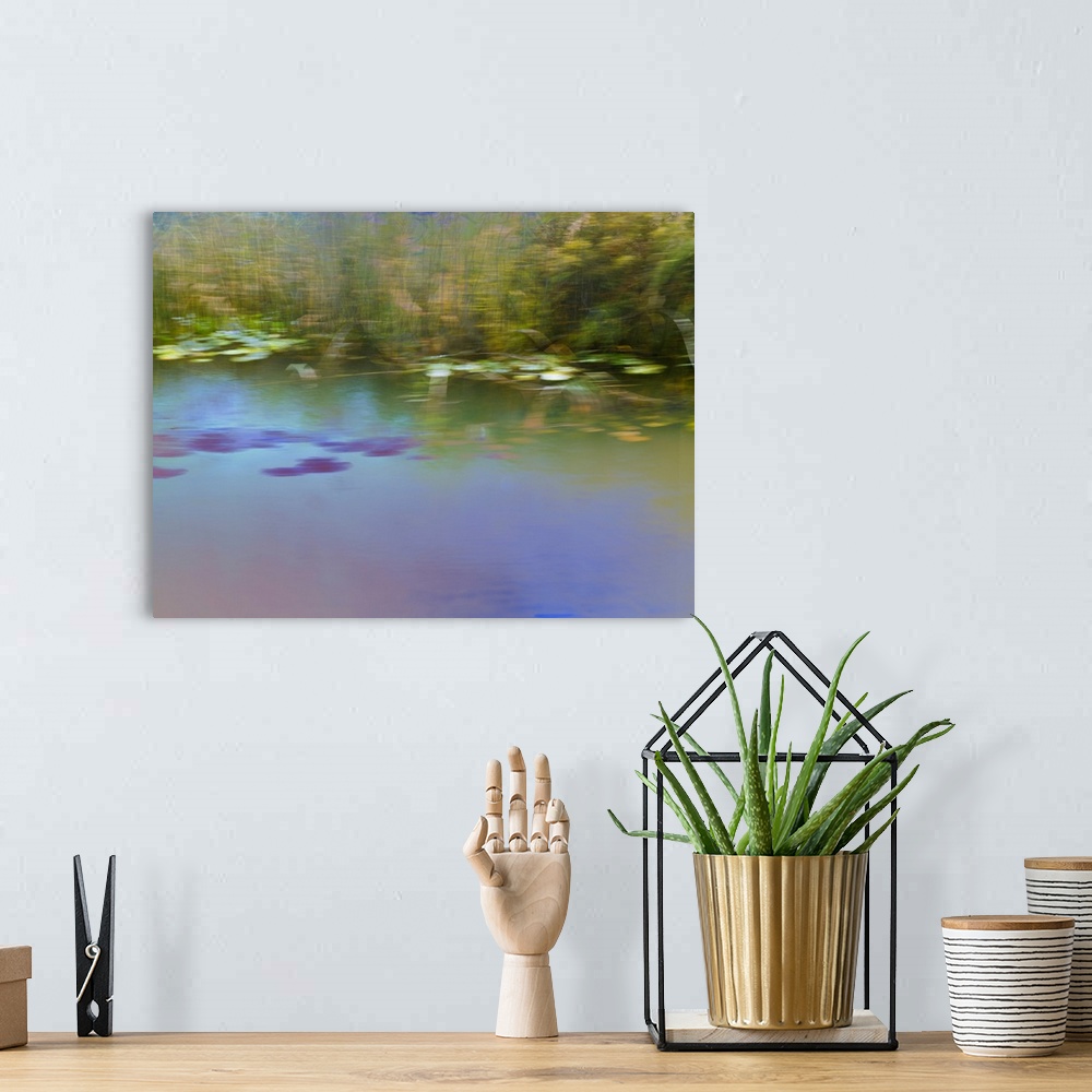 A bohemian room featuring Blurred photograph of a pond landscape created with multiple exposures.