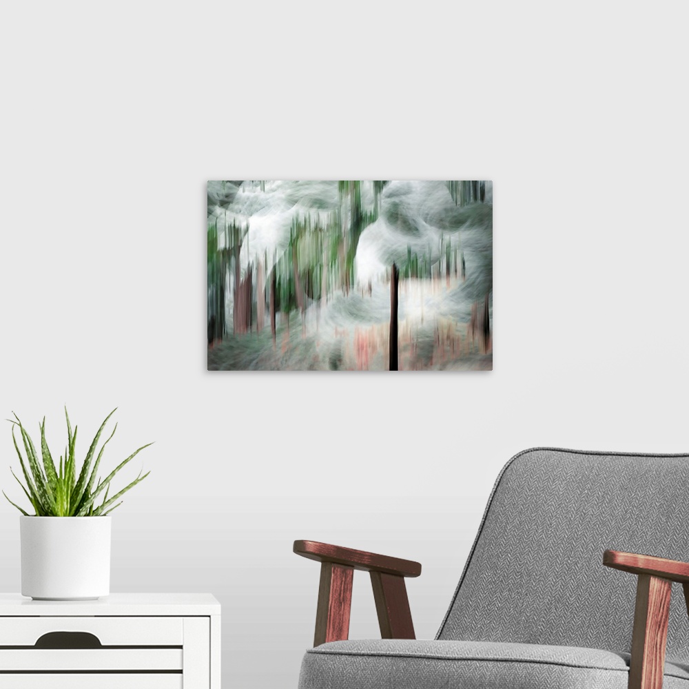 A modern room featuring Abstract image of a group of tall cedars on a snowy day in the mountains of British Columbia, Can...
