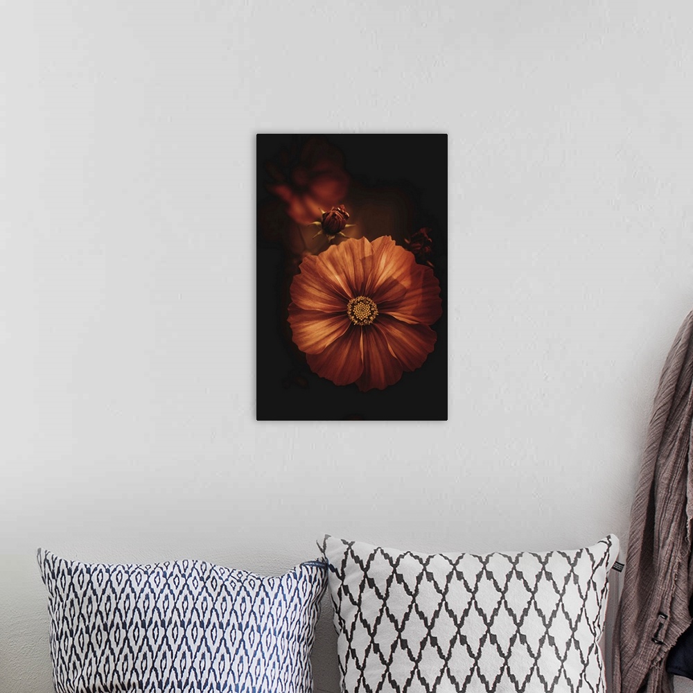 A bohemian room featuring Fine art photograph of two dark orange flowers in moody lighting.
