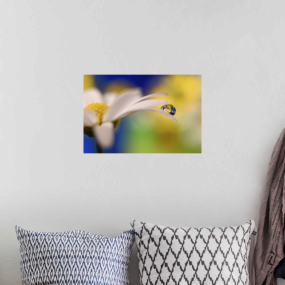 A bohemian room featuring A photograph of a white flower with a water droplet hanging from the end of one of its petals.