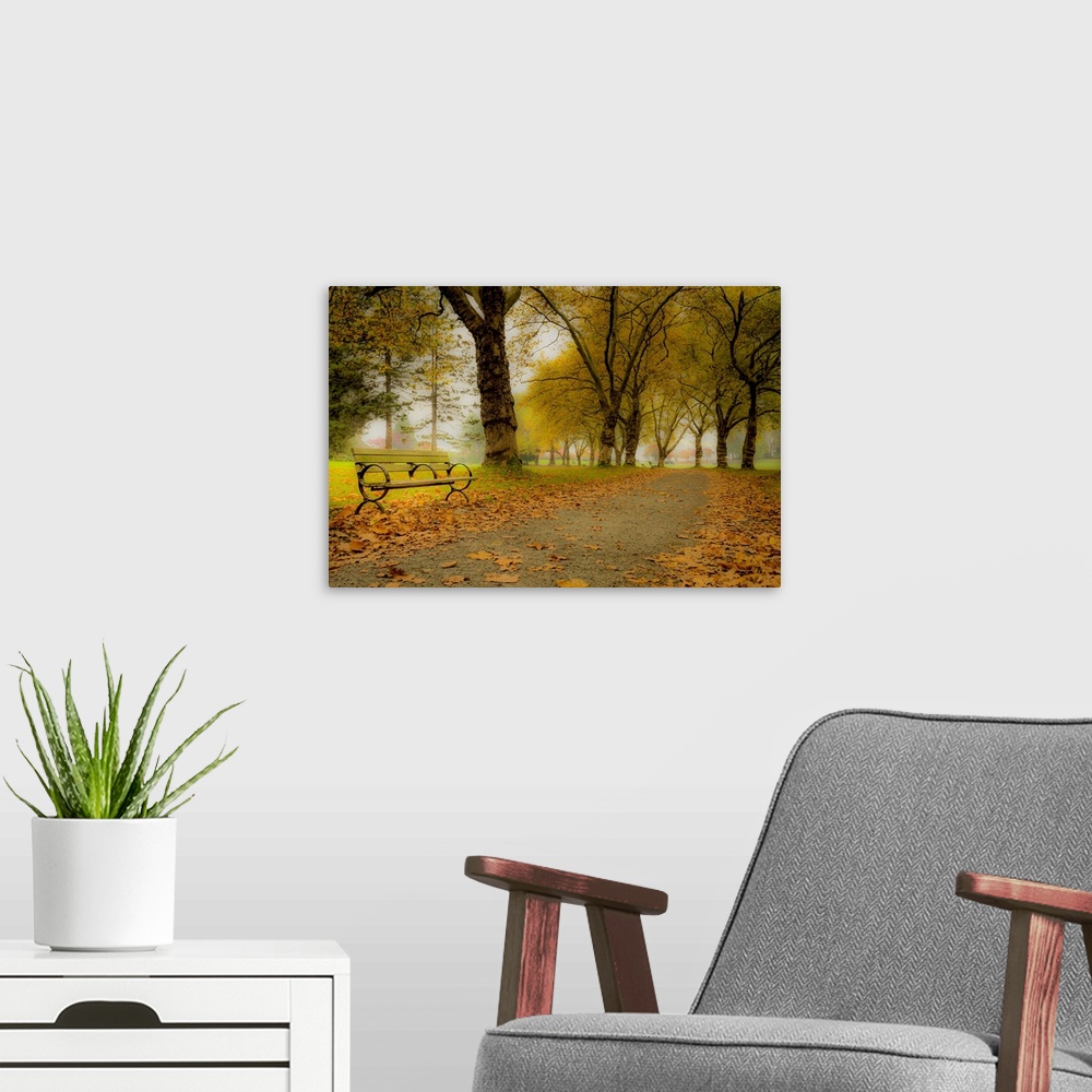 A modern room featuring A magical display of fall time in a park.