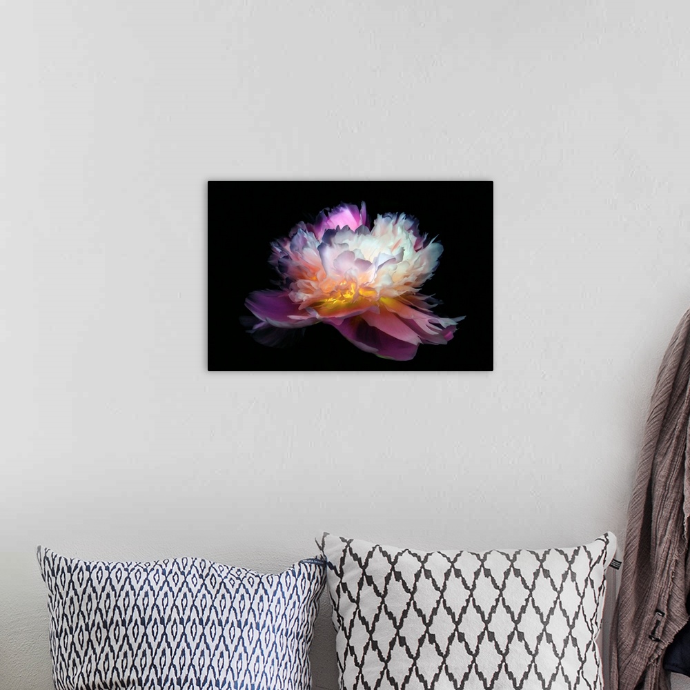 A bohemian room featuring Close-up peony with a negative effect