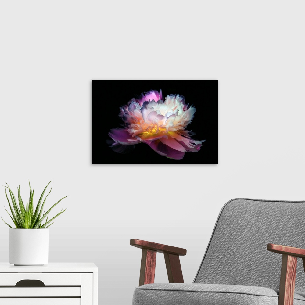 A modern room featuring Close-up peony with a negative effect