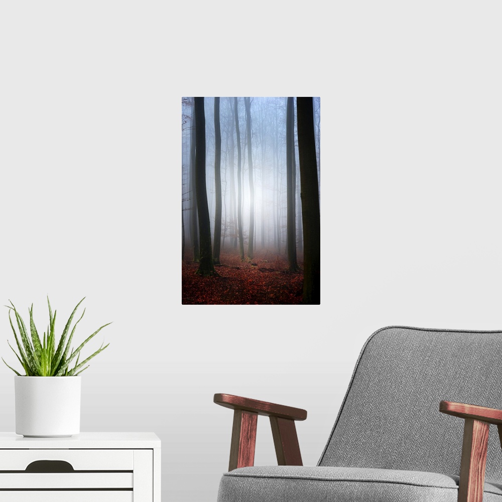 A modern room featuring Light in the forest