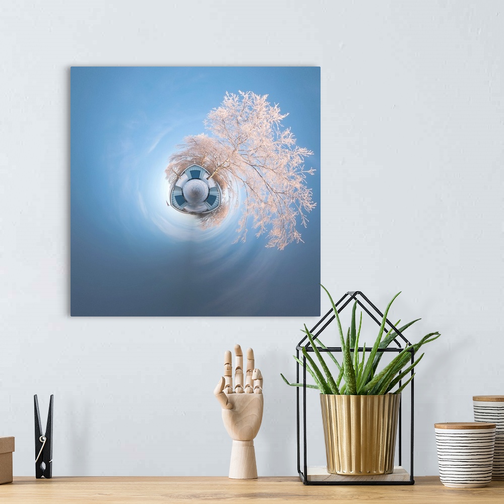 A bohemian room featuring A tree covered in frost in the winter against a blue sky, with a stereographic projection effect ...