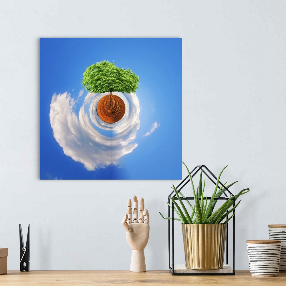 A bohemian room featuring A tree with dense green foliage against a cloudy sky, with a stereographic projection effect on t...