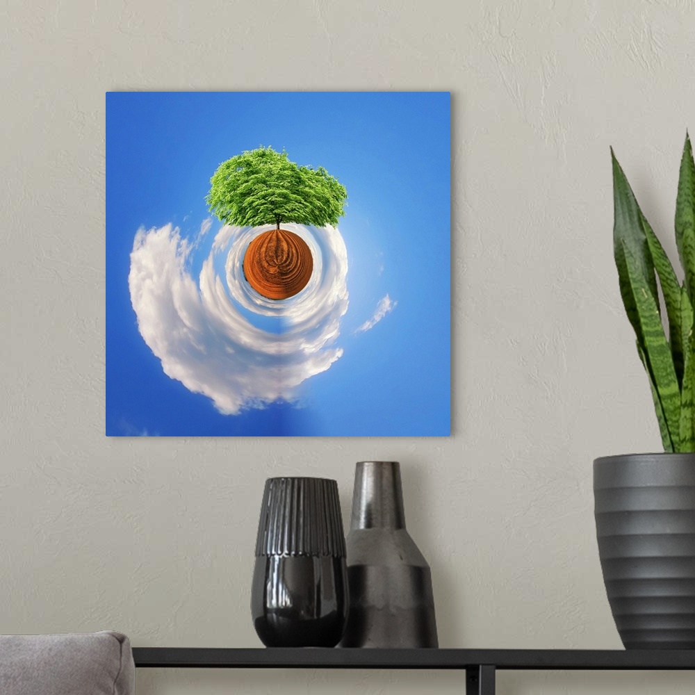 A modern room featuring A tree with dense green foliage against a cloudy sky, with a stereographic projection effect on t...