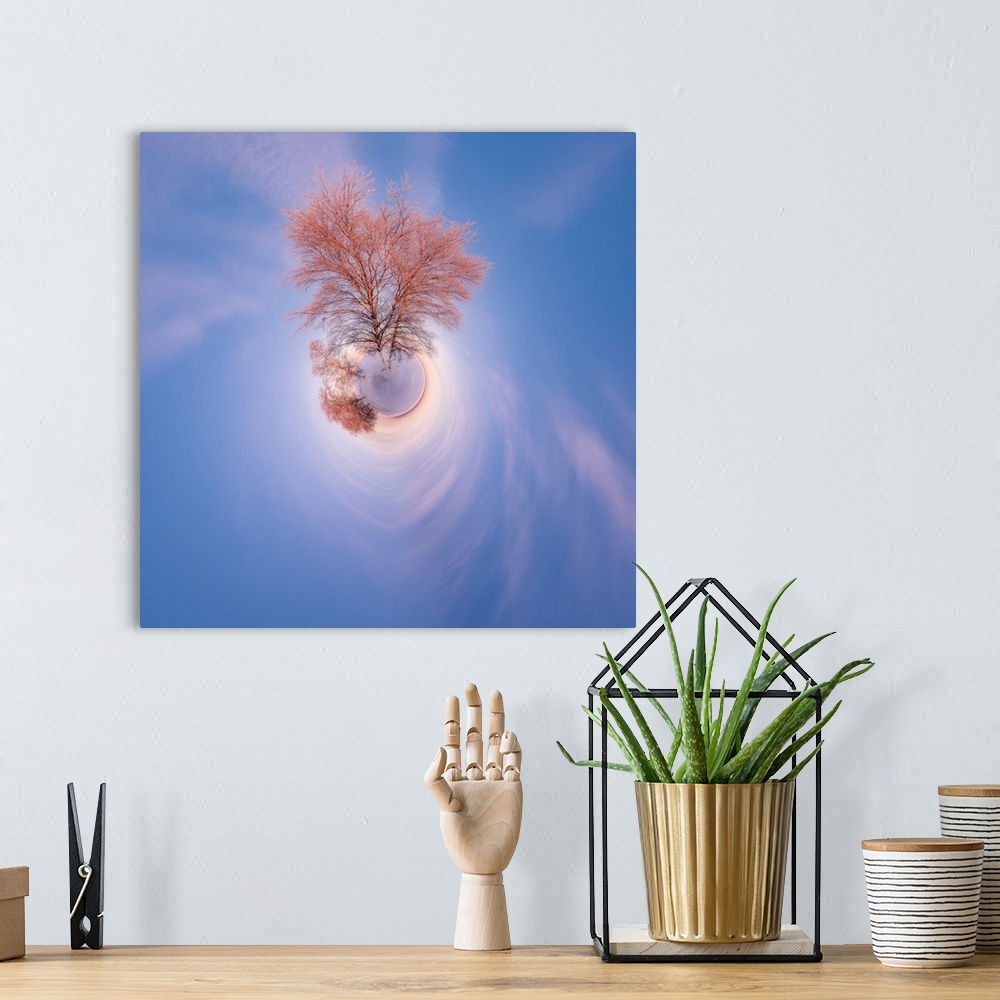 A bohemian room featuring A tall tree with soft pink light from the setting sun against a blue sky, with a stereographic pr...