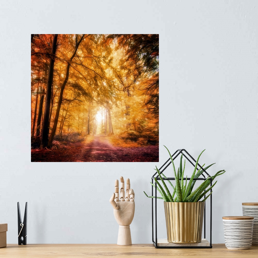 A bohemian room featuring Photo Expressionism - Bright path in an autumn forest.