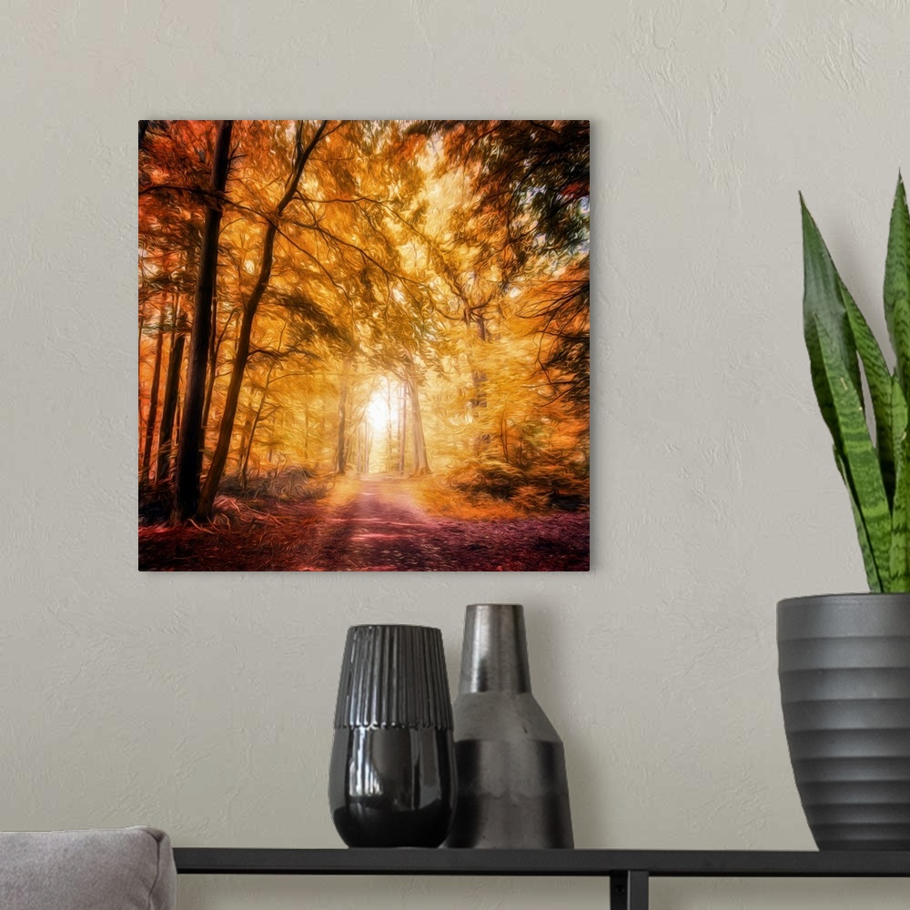 A modern room featuring Photo Expressionism - Bright path in an autumn forest.