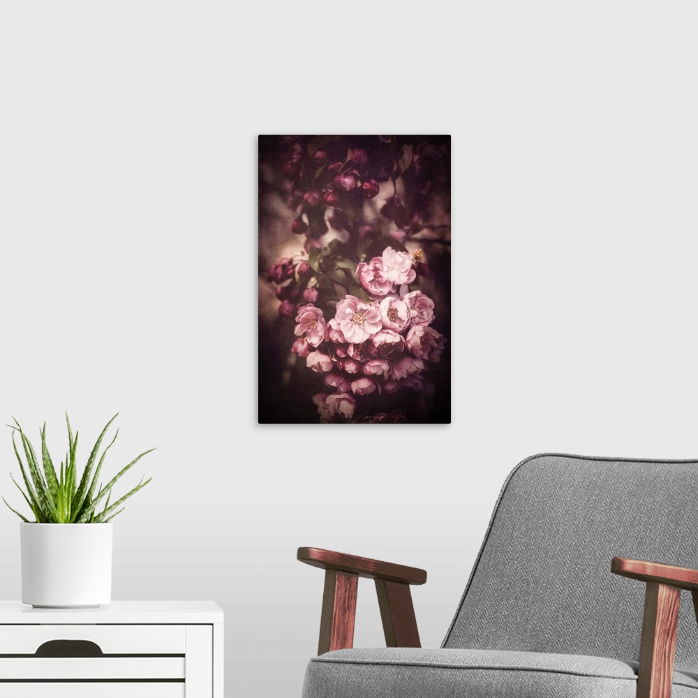A modern room featuring Close up of japan apple blossoms with vintage processing