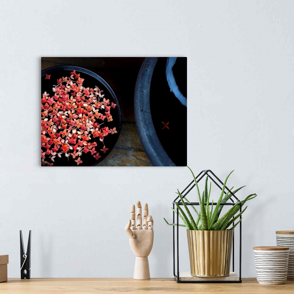 A bohemian room featuring Fine art photograph of pink Jasmine flowers floating in a pot.
