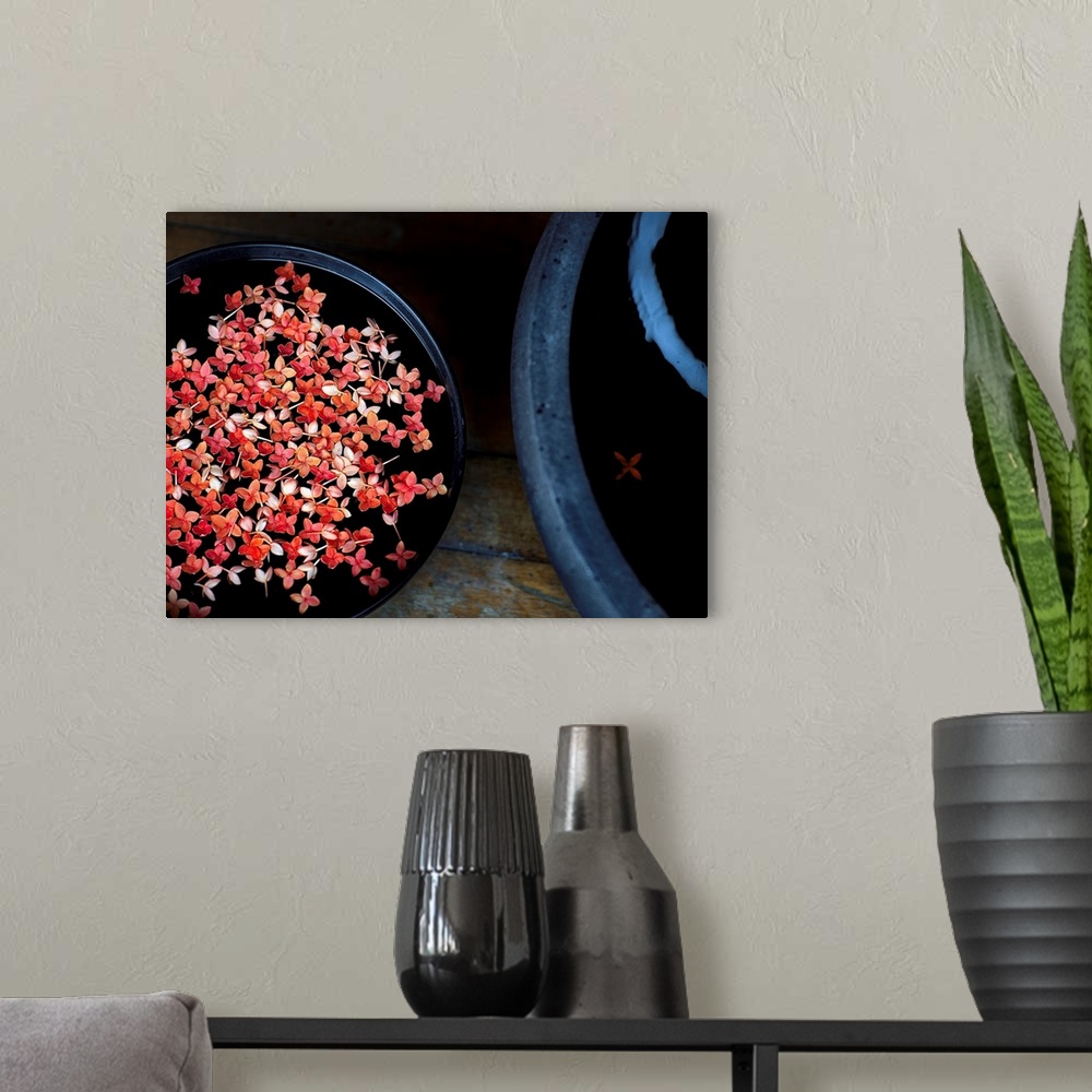 A modern room featuring Fine art photograph of pink Jasmine flowers floating in a pot.