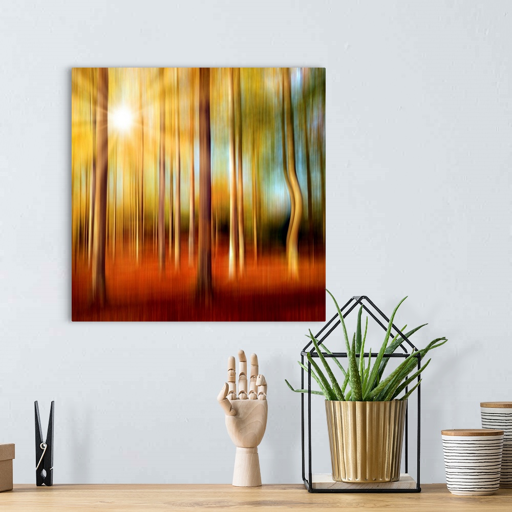 A bohemian room featuring Forest in autumn with a vertical blur effect