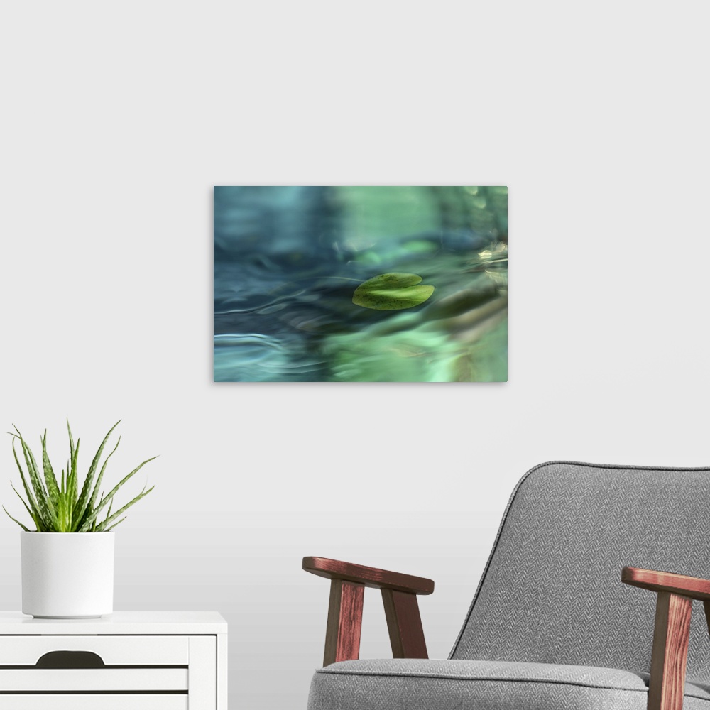 A modern room featuring A water lily leaf with several layers of abstract water motif.