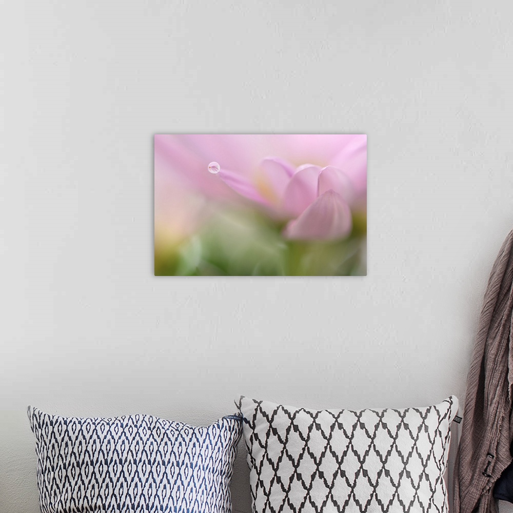 A bohemian room featuring A macro photograph of a water droplet sitting on the edge of a pink flower petal.