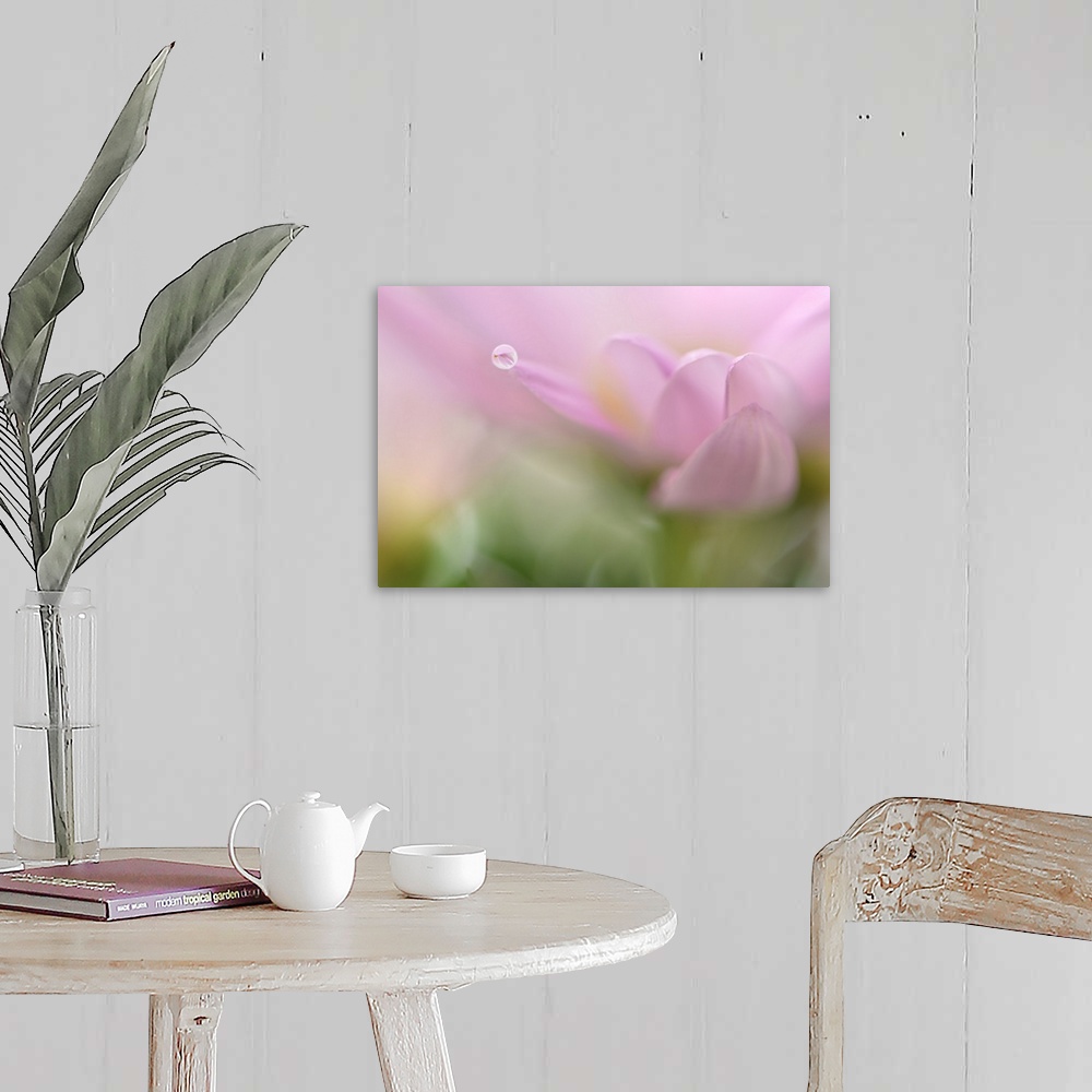 A farmhouse room featuring A macro photograph of a water droplet sitting on the edge of a pink flower petal.