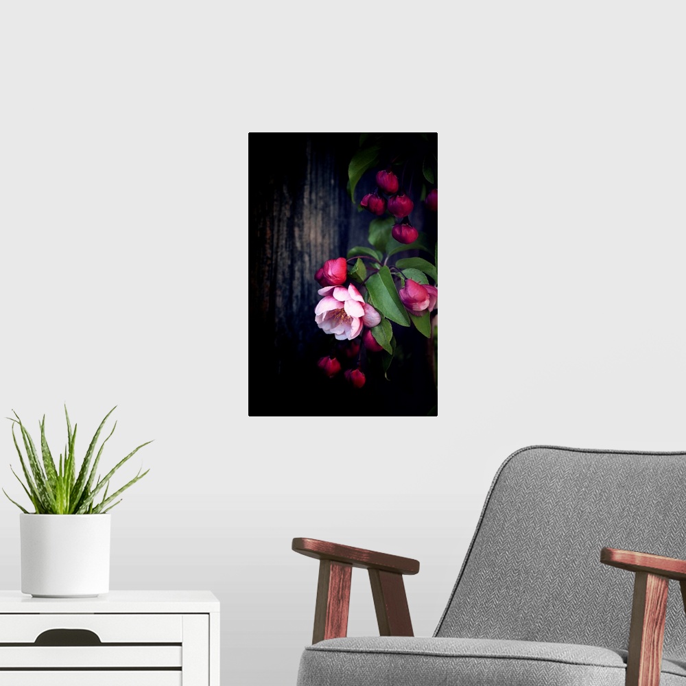 A modern room featuring Japanese apple blossoms on dark background
