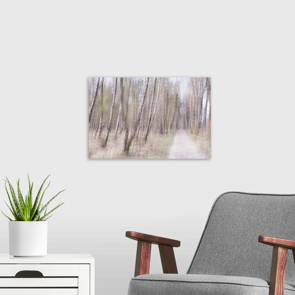 A modern room featuring Artistically blurred photo. The sun kisses the young leaves of the trees.