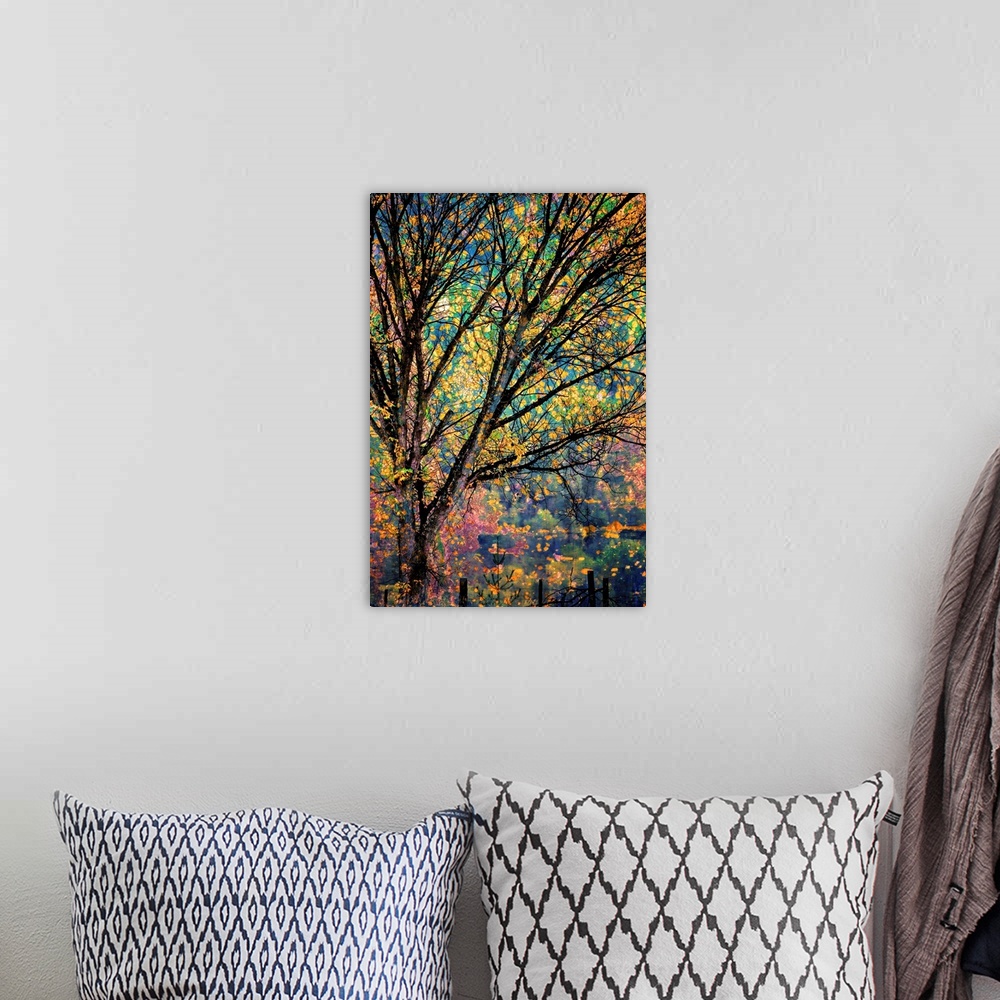 A bohemian room featuring Artistic photograph of a tree will brilliant autumn foliage.