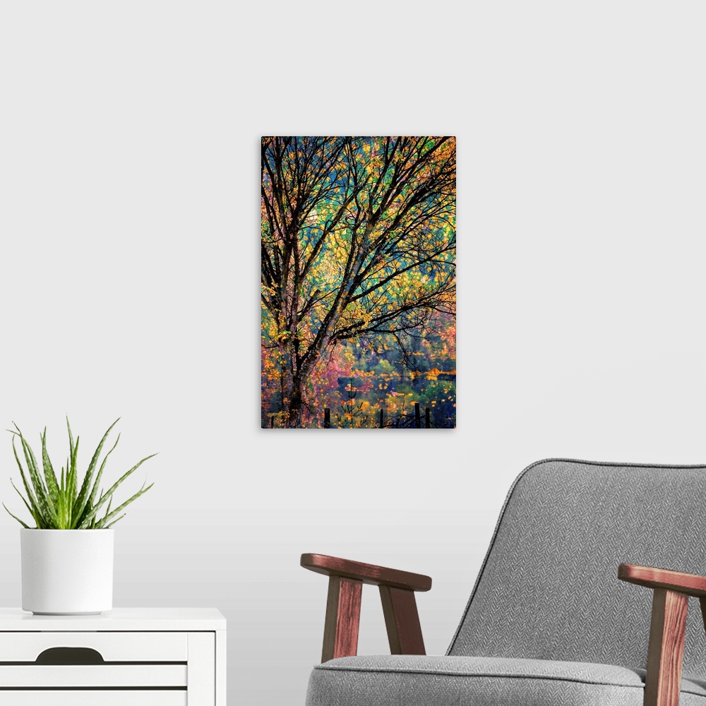 A modern room featuring Artistic photograph of a tree will brilliant autumn foliage.