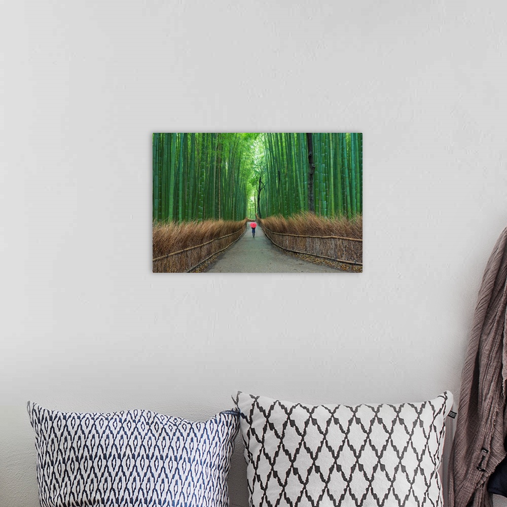 A bohemian room featuring Fine art photograph of a person walking on a path in a tall bamboo forest.