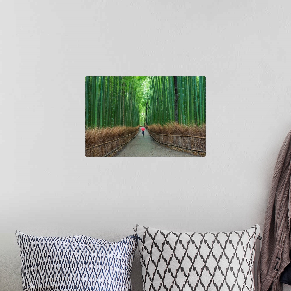 A bohemian room featuring Fine art photograph of a person walking on a path in a tall bamboo forest.