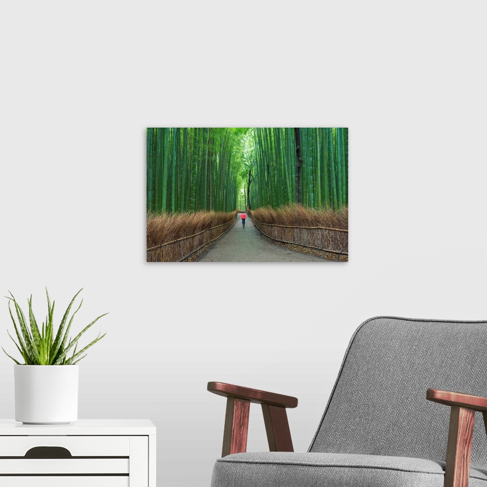 A modern room featuring Fine art photograph of a person walking on a path in a tall bamboo forest.