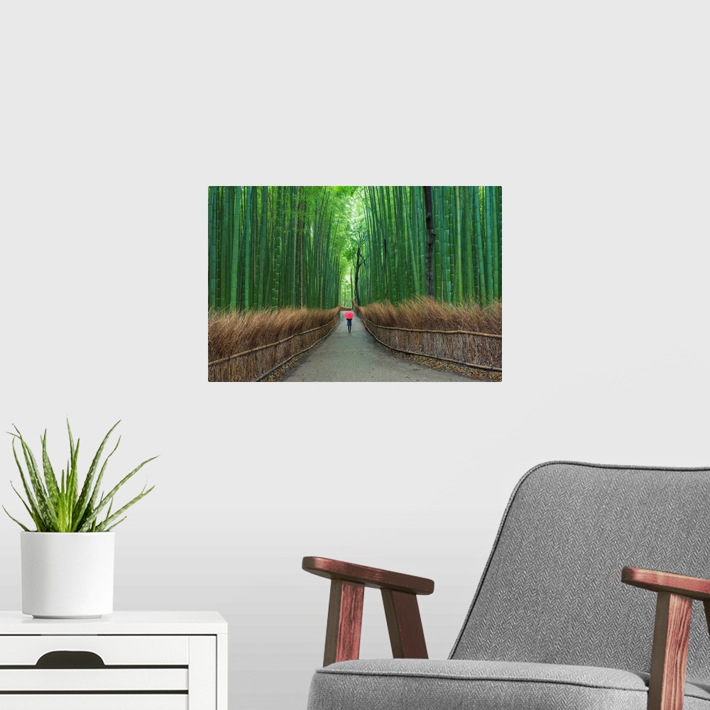 A modern room featuring Fine art photograph of a person walking on a path in a tall bamboo forest.