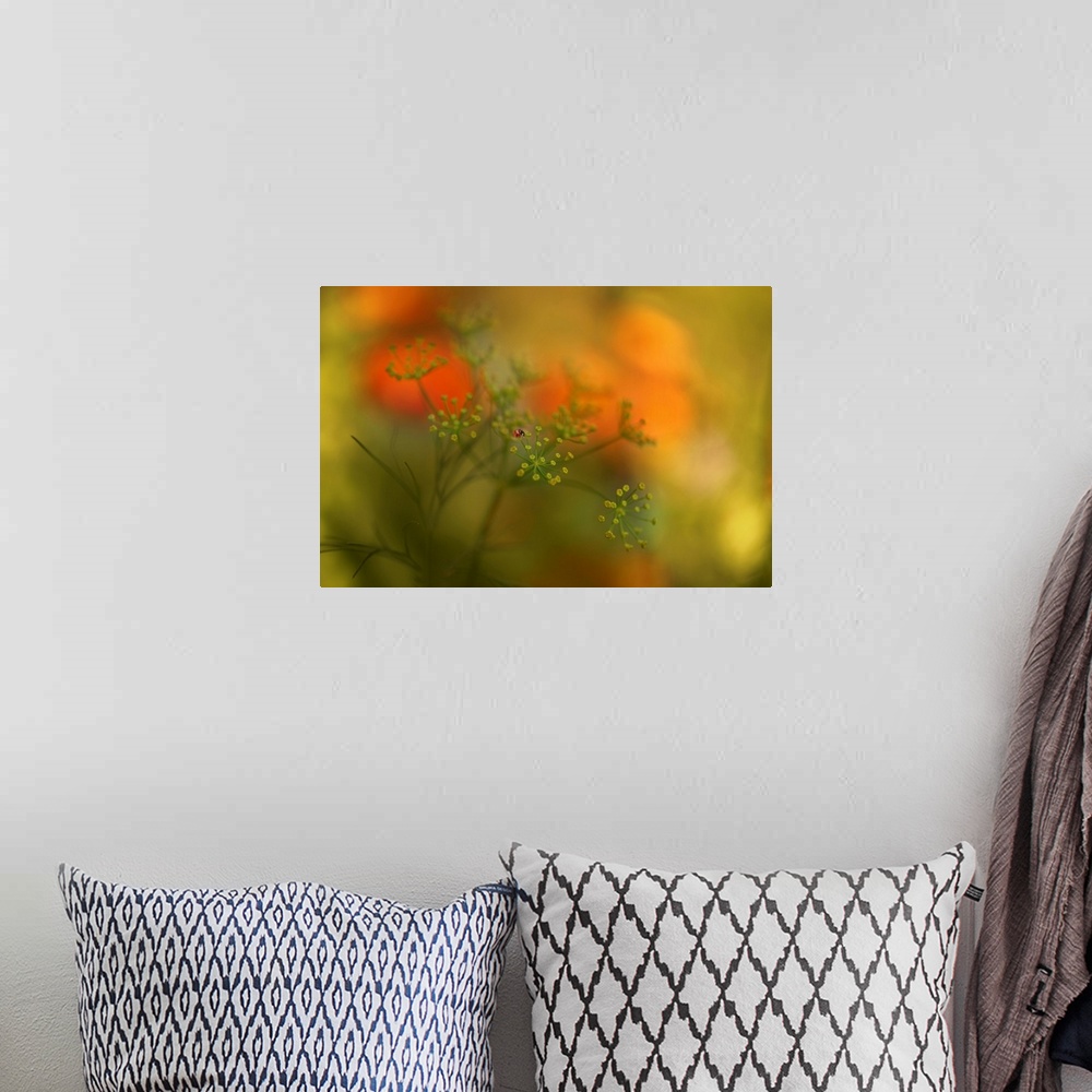 A bohemian room featuring Soft focus macro image of a ladybug on top of a flower with a dreamy look.