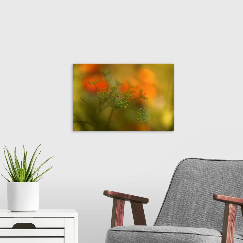 A modern room featuring Soft focus macro image of a ladybug on top of a flower with a dreamy look.