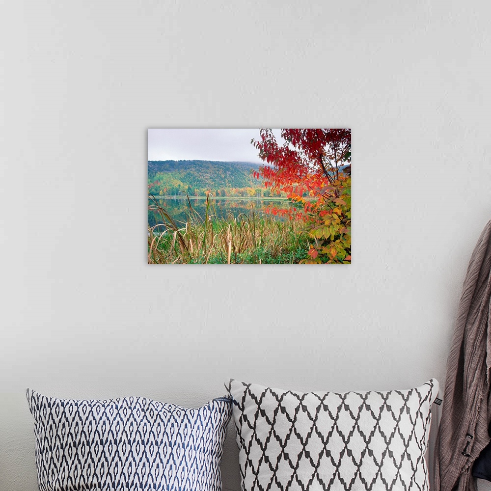 A bohemian room featuring A large photograph taken of a lake with tall grass and trees in the foreground. Autumn colored tr...