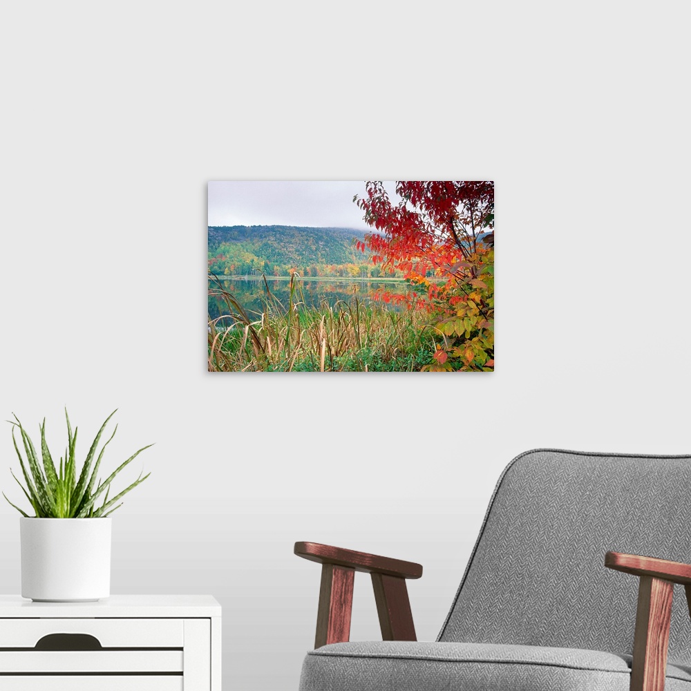 A modern room featuring A large photograph taken of a lake with tall grass and trees in the foreground. Autumn colored tr...