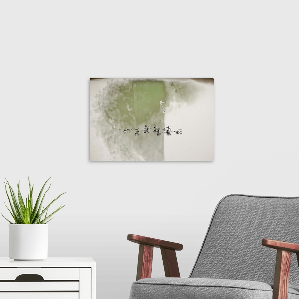 A modern room featuring Conceptual photograph of plants reflecting on to still waters with an abstract background in gree...
