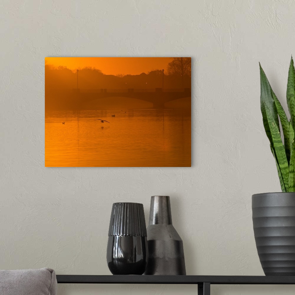A modern room featuring A small flock of waterfowl approaching the water in harsh orange light from the setting sun.