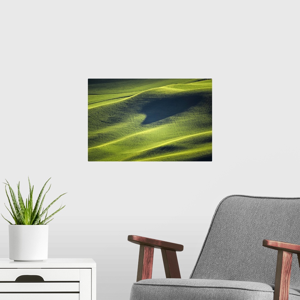A modern room featuring Almost abstract view of the verdant hills of Palouse, Washington.