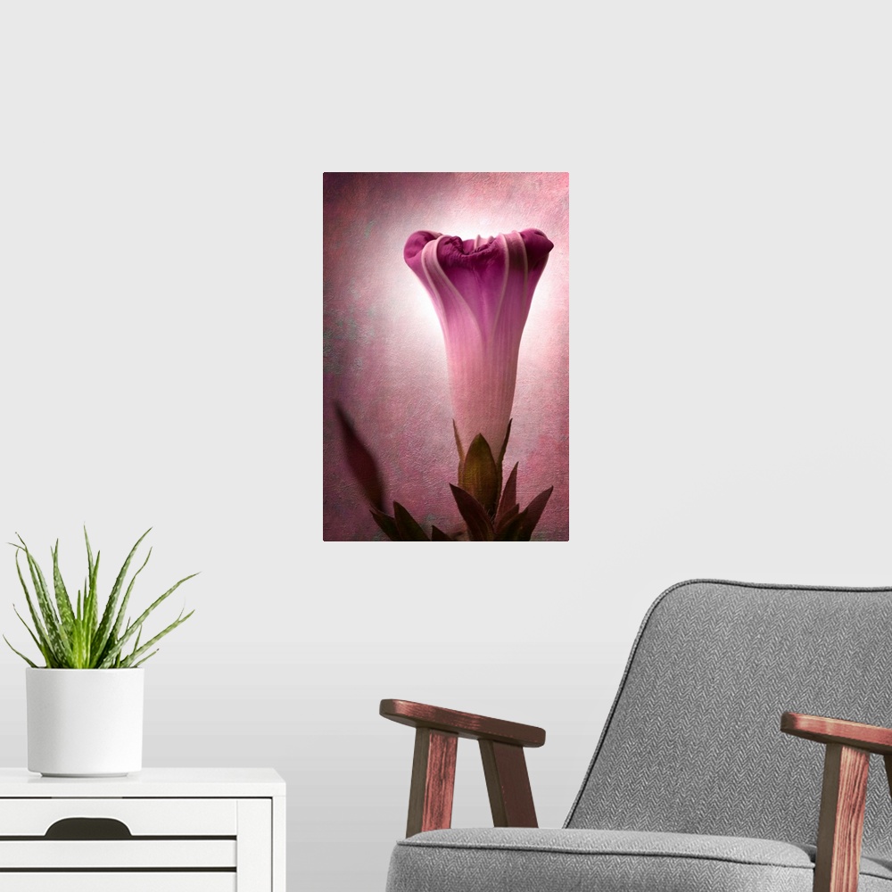 A modern room featuring Fine art photo of a single flower about to bloom, radiating soft light.