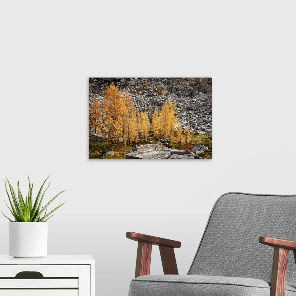 A modern room featuring Alpine larches close to a slide on a warm autumn afternoon in the mountains.
