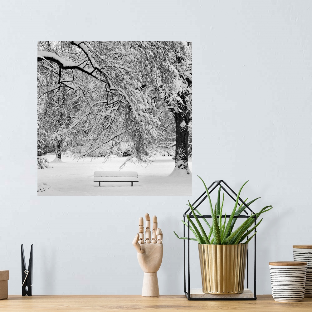 A bohemian room featuring Square image of a snow covered bench in a snowy wooded area.