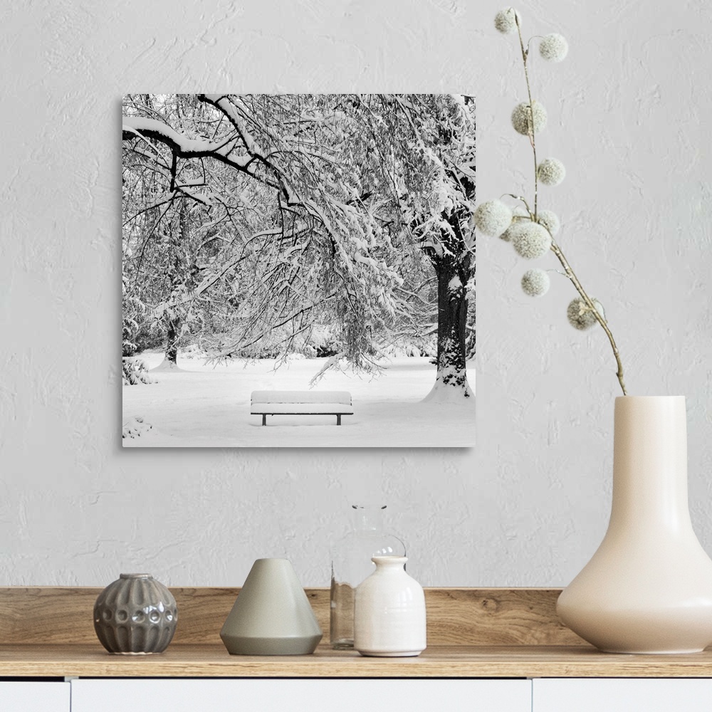 A farmhouse room featuring Square image of a snow covered bench in a snowy wooded area.