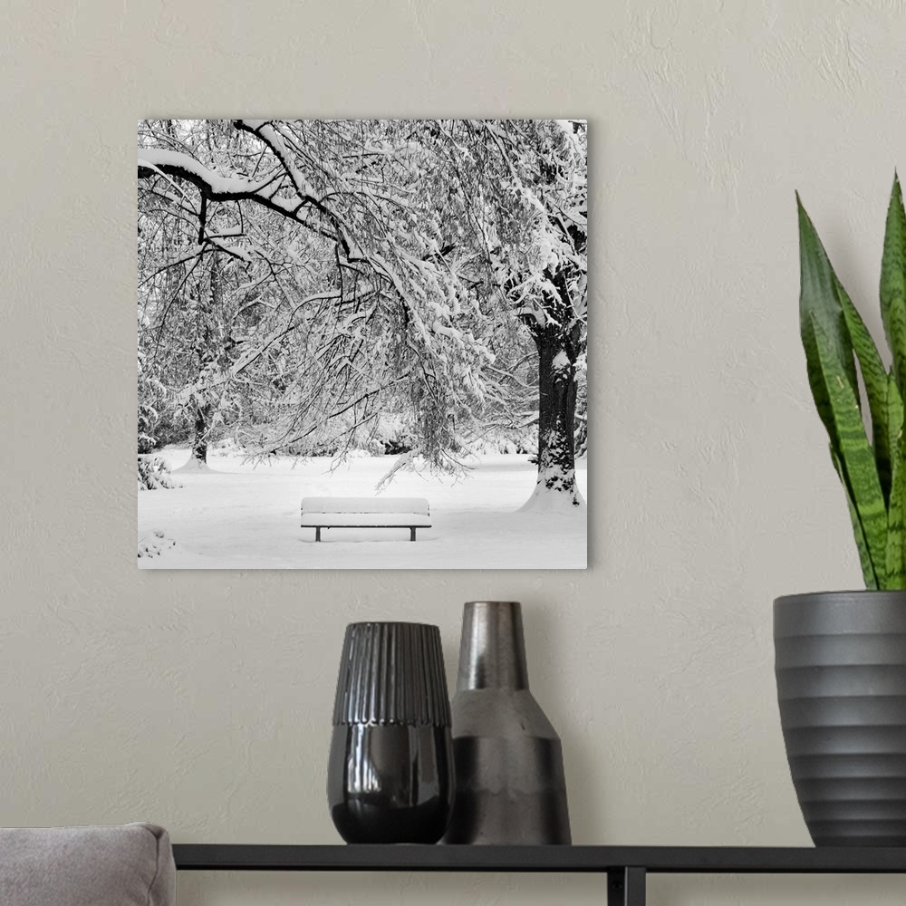 A modern room featuring Square image of a snow covered bench in a snowy wooded area.