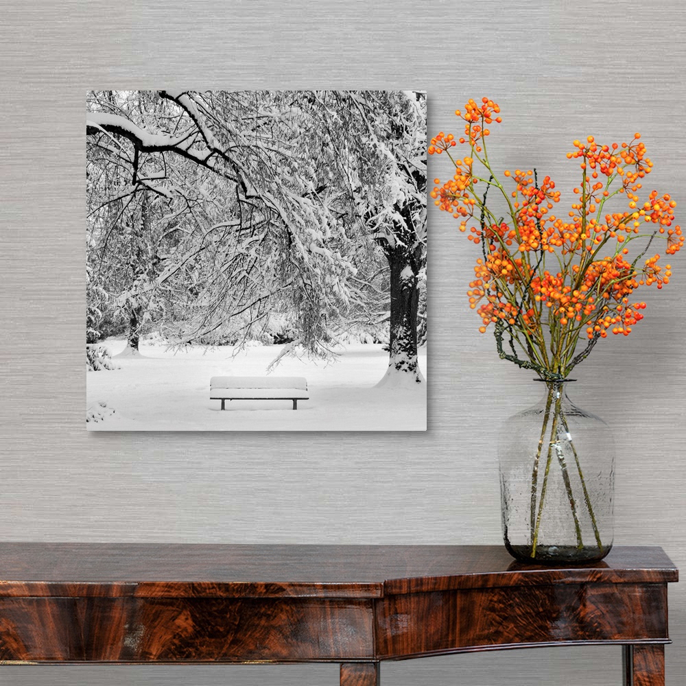 A traditional room featuring Square image of a snow covered bench in a snowy wooded area.