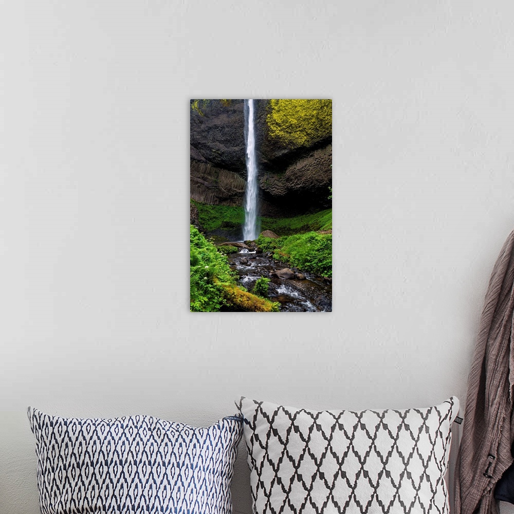 A bohemian room featuring Moss and lichen growing at the base of Latourell Falls in Oregon.