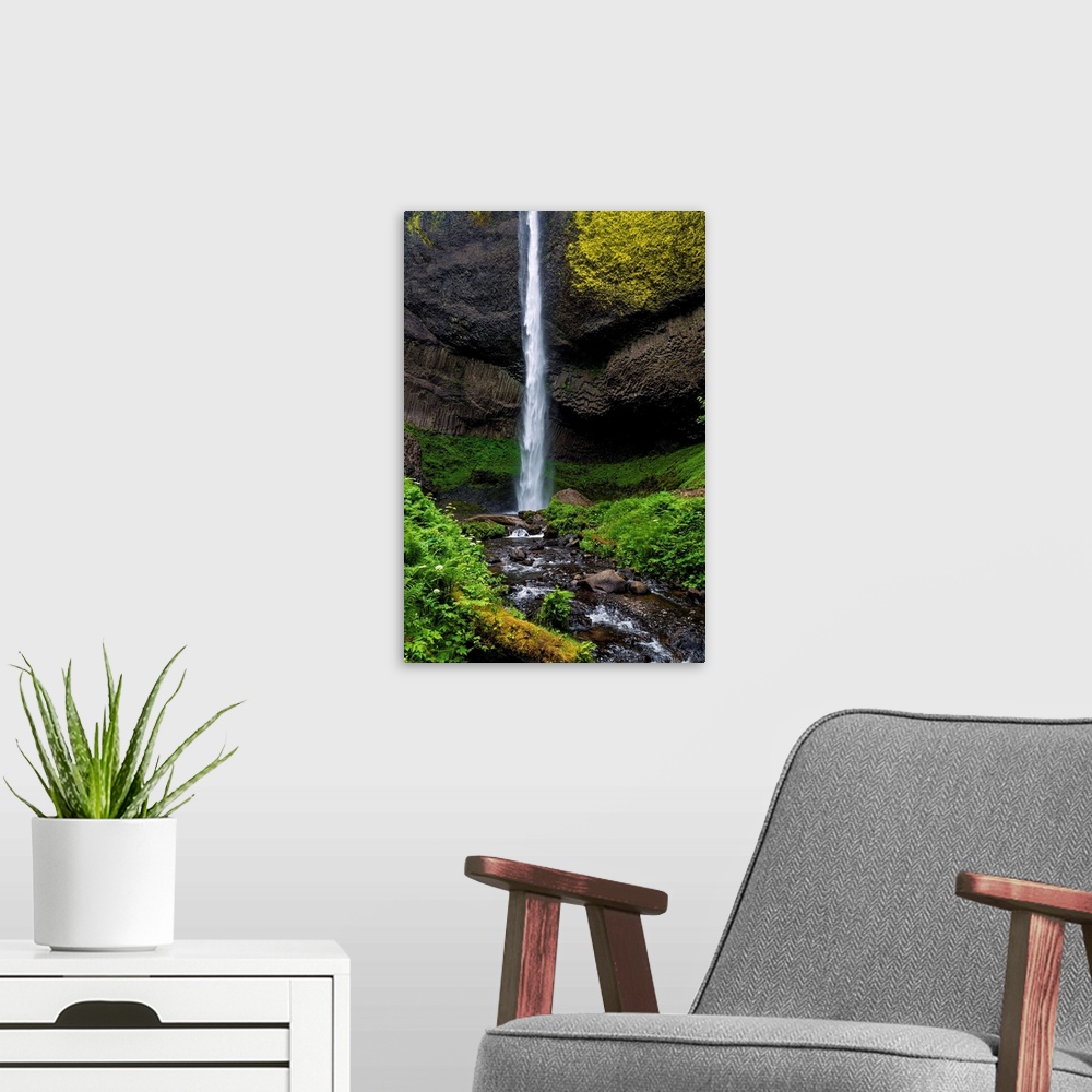 A modern room featuring Moss and lichen growing at the base of Latourell Falls in Oregon.