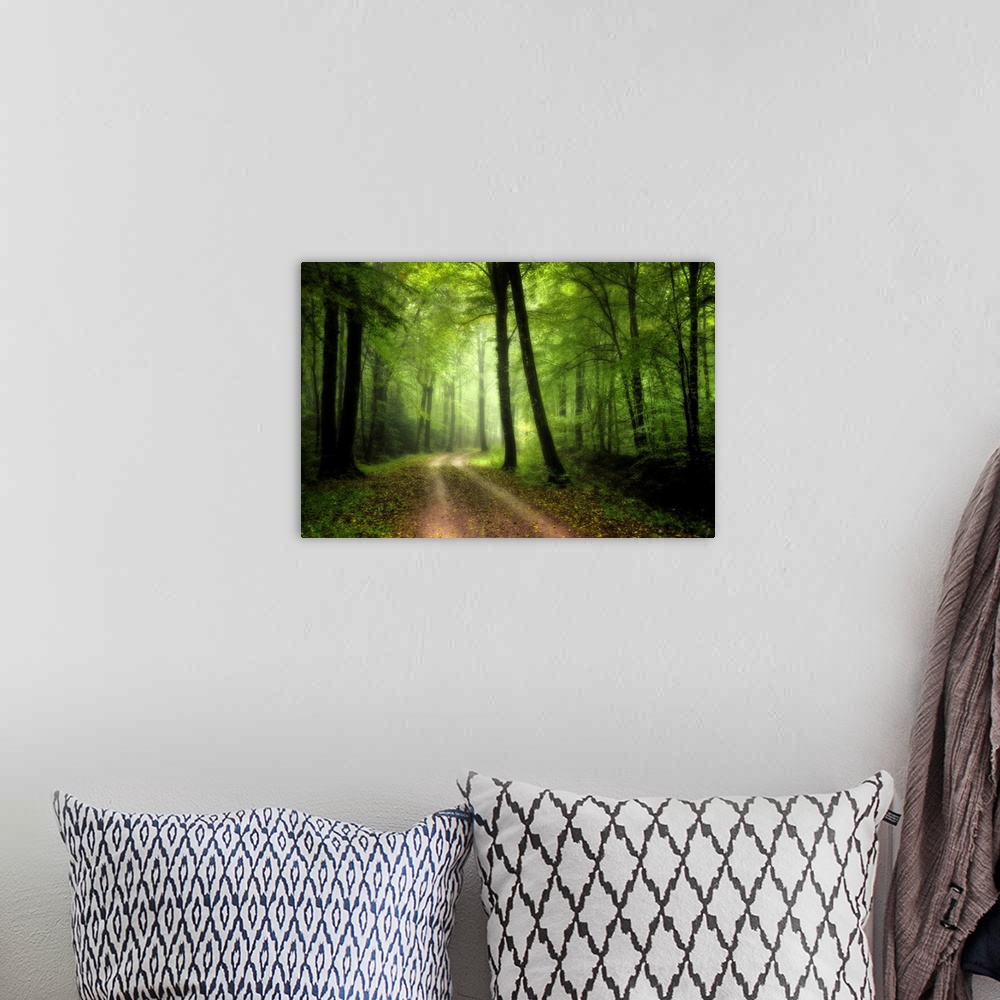 A bohemian room featuring Green nature path crossing the forest of Broceliande in France with big colored differents trees.