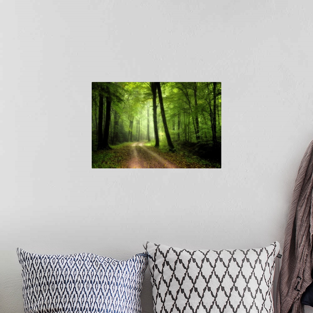A bohemian room featuring Green nature path crossing the forest of Broceliande in France with big colored differents trees.