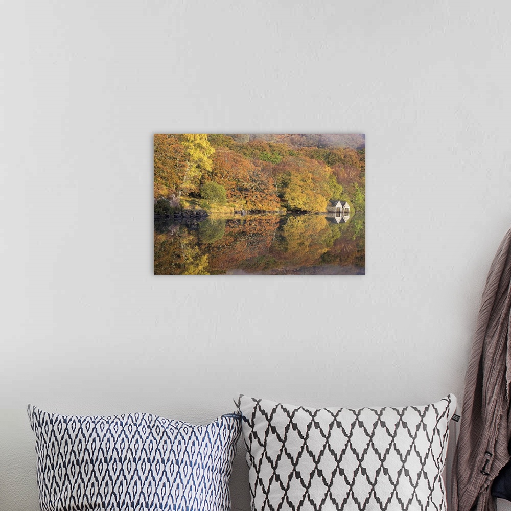A bohemian room featuring A photograph of a forest in autumn foliage.