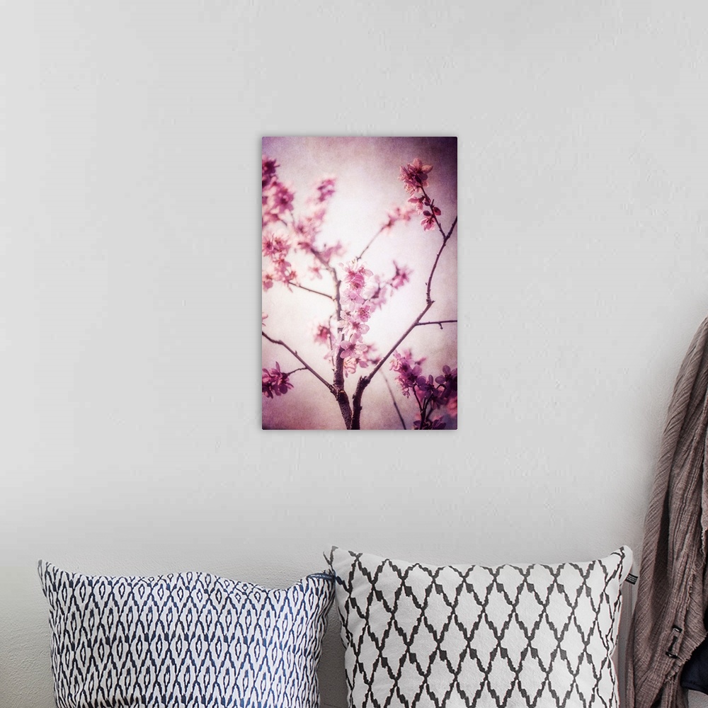 A bohemian room featuring Cherry tree in the spring with the addition of a photo texture