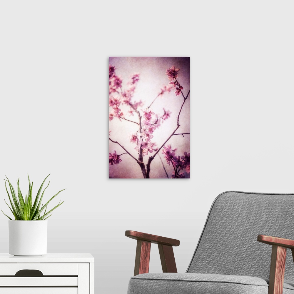A modern room featuring Cherry tree in the spring with the addition of a photo texture