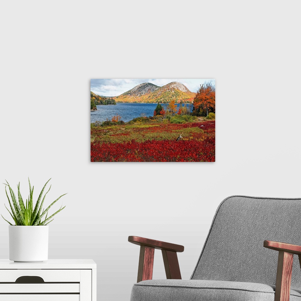 A modern room featuring Large, landscape photograph of Jordan Pond and the Bubble Mountains, surrounded by autumn color, ...